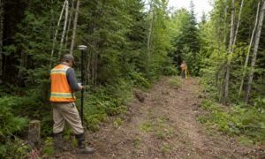 Minnesota land survey cost - ALTA SURVEY Minnesota Surveyors work through wooded Minnesota acreage where the average cost for a land survey can vary with access and site conditions